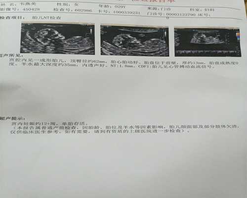 北京代怀孕网价格,北京试管婴儿医院排